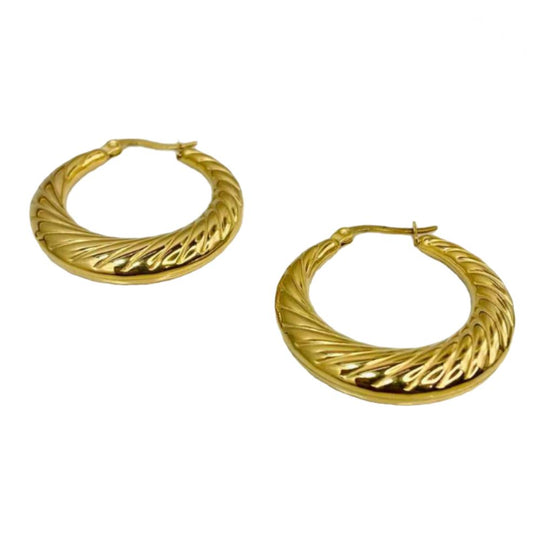 Earrings Party Wear | Can Be Worn As A Daily Wear Office Earring | Anti Tarnished